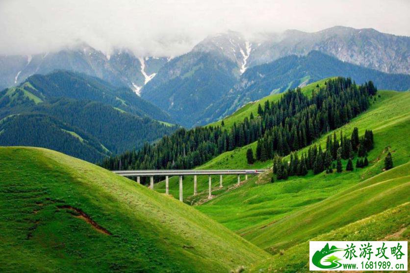 伊犁薰衣草基地旅游攻略2017 伊犁薰衣草基地旅游攻略2017