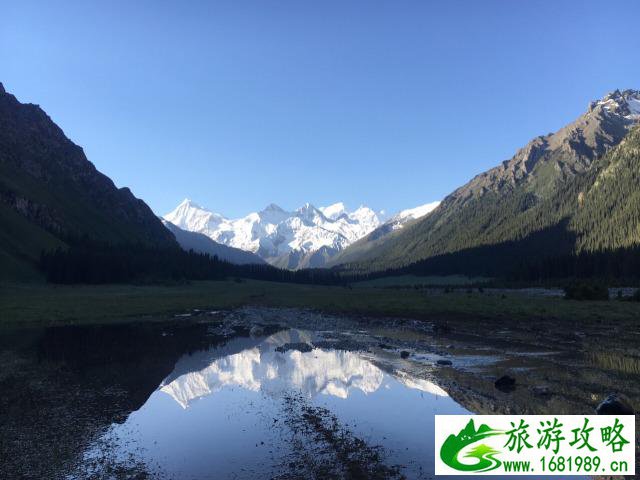 伊犁薰衣草基地旅游攻略2017 伊犁薰衣草基地旅游攻略2017