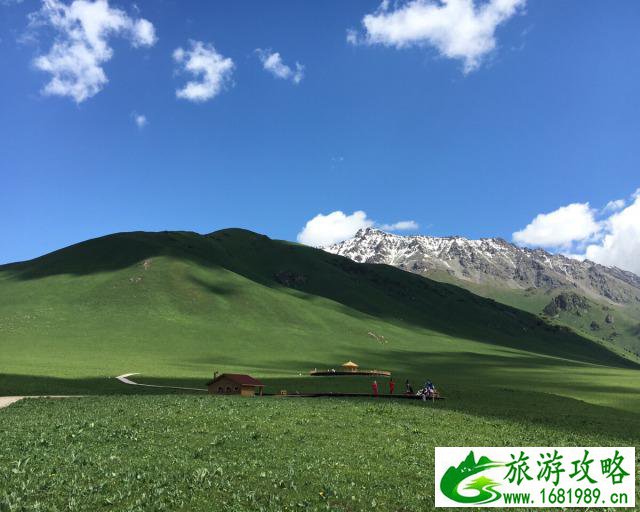 伊犁薰衣草基地旅游攻略2017 伊犁薰衣草基地旅游攻略2017