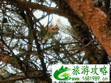 济南旅游攻略四日游_济南自驾游攻略2017 济南旅游攻略四日游_济南自驾游攻略2017