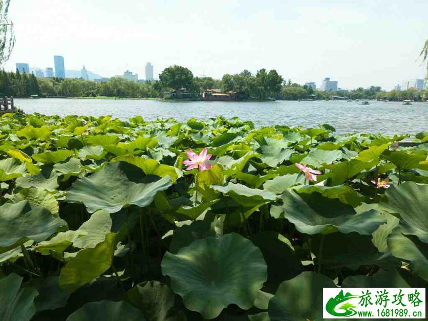 济南旅游攻略四日游_济南自驾游攻略2017 济南旅游攻略四日游_济南自驾游攻略2017