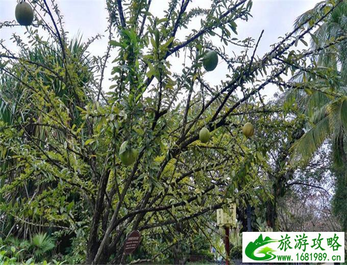 三亚有哪些旅游景点 去三亚旅游要多少钱