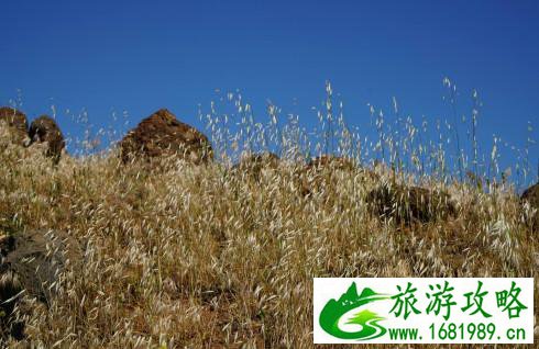 以色列有什么好玩的 以色列有什么旅游景点