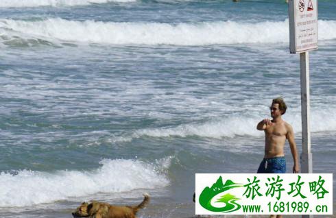 以色列有什么好玩的 以色列有什么旅游景点