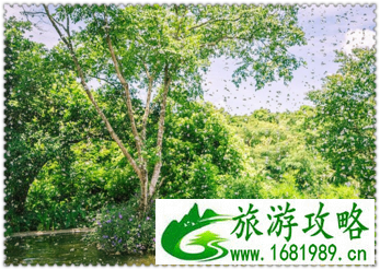 三亚有哪些景点 三亚有哪些沙滩