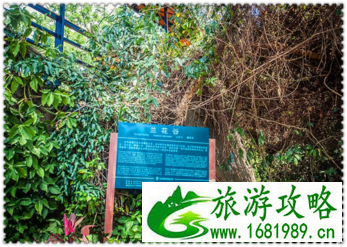 三亚有哪些景点 三亚有哪些沙滩