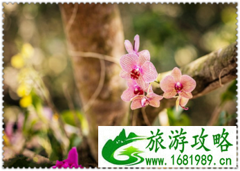 三亚有哪些景点 三亚有哪些沙滩