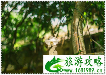 三亚有哪些景点 三亚有哪些沙滩