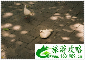 三亚有哪些景点 三亚有哪些沙滩