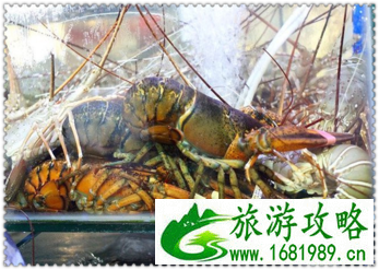 三亚有哪些景点 三亚有哪些沙滩