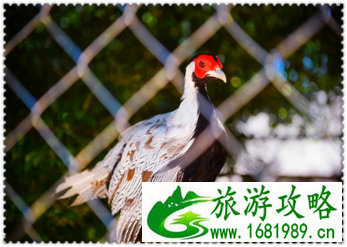 三亚有哪些景点 三亚有哪些沙滩