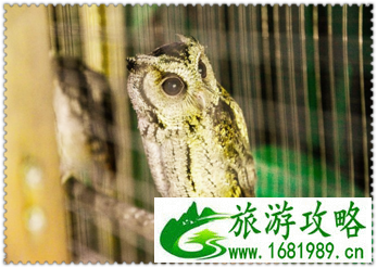 三亚有哪些景点 三亚有哪些沙滩