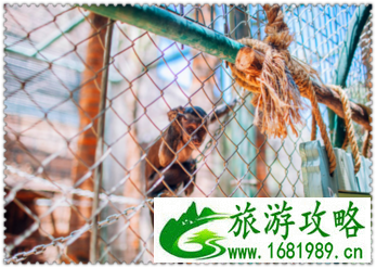 三亚有哪些景点 三亚有哪些沙滩
