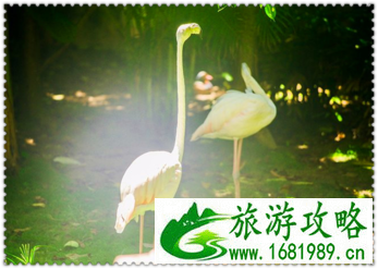 三亚有哪些景点 三亚有哪些沙滩