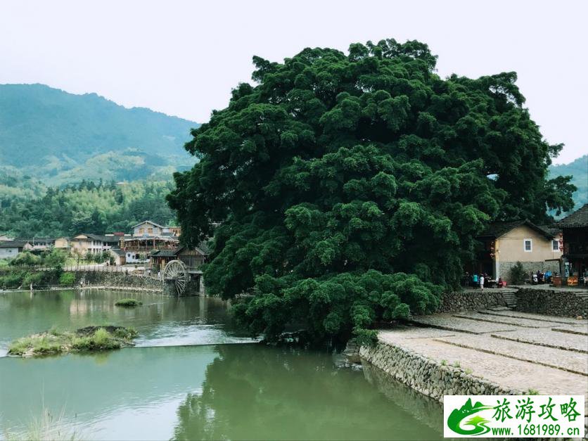去厦门住哪里比较方便 厦门什么时候去最好 去厦门住哪里比较方便 厦门什么时候去最好