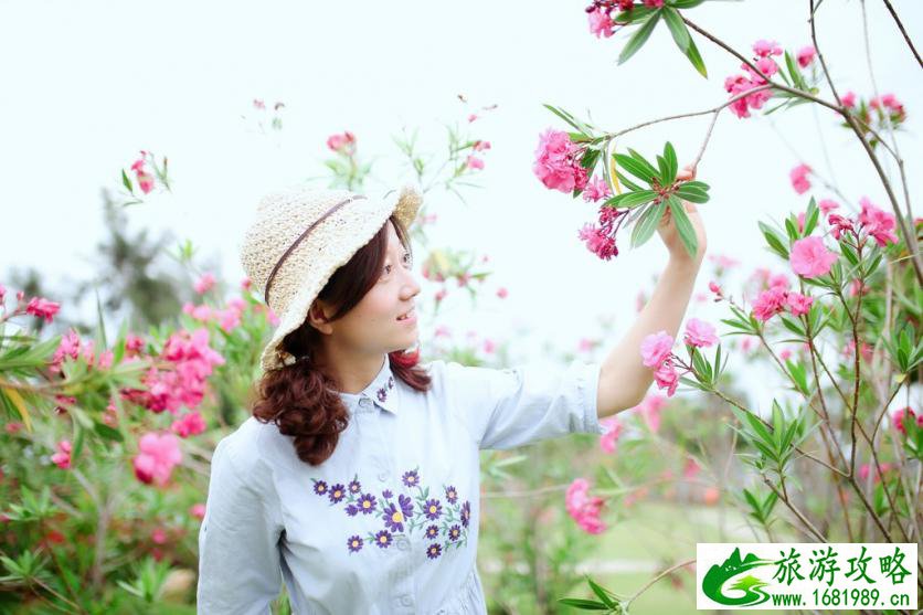 去厦门住哪里比较方便 厦门什么时候去最好 去厦门住哪里比较方便 厦门什么时候去最好