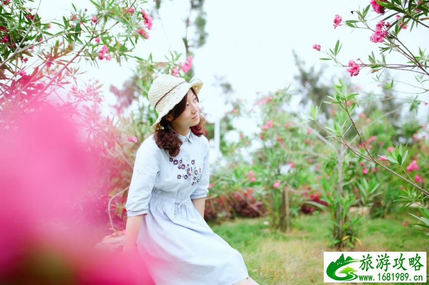 去厦门住哪里比较方便 厦门什么时候去最好 去厦门住哪里比较方便 厦门什么时候去最好