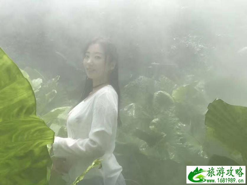 去厦门住哪里比较方便 厦门什么时候去最好 去厦门住哪里比较方便 厦门什么时候去最好