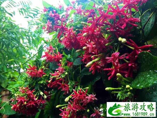 清迈有哪些景点 清迈有什么好玩的 清迈有哪些景点 清迈有什么好玩的