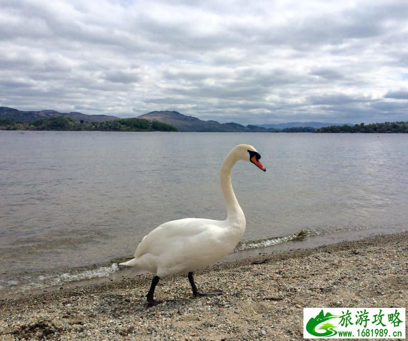 英国有哪些著名景点 英国有什么值得买的 英国有哪些著名景点 英国有什么值得买的