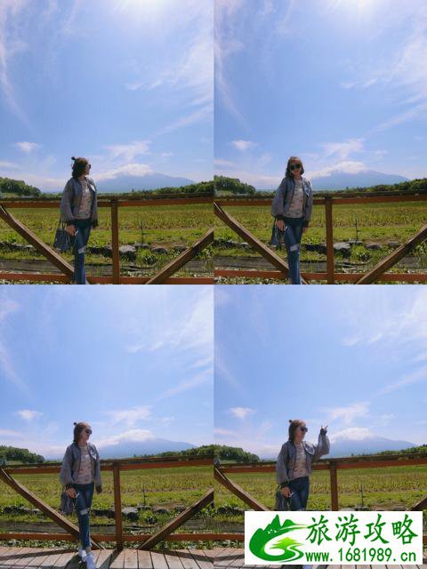 日本跟团游6日带多少钱 日本跟团6日游攻略 日本跟团游6日带多少钱 日本跟团6日游攻略