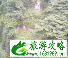青城山的介绍 青城山风景区的历史 都江堰青城山一日游攻略 青城山的介绍 青城山风景区的历史 都江堰青城山一日游攻略