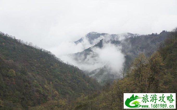 蓥华山自驾游攻略 蓥华山有什么好玩的 蓥华山自驾游攻略 蓥华山有什么好玩的