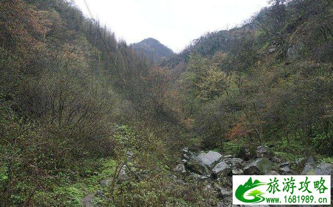 蓥华山自驾游攻略 蓥华山有什么好玩的 蓥华山自驾游攻略 蓥华山有什么好玩的