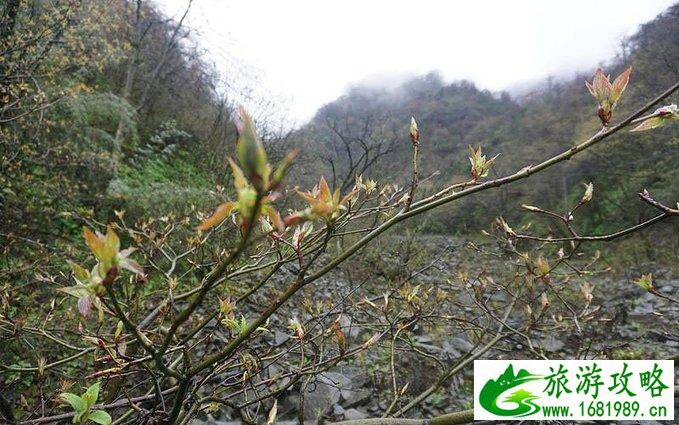 蓥华山自驾游攻略 蓥华山有什么好玩的 蓥华山自驾游攻略 蓥华山有什么好玩的