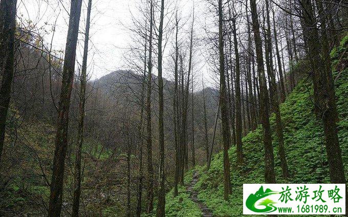 蓥华山自驾游攻略 蓥华山有什么好玩的 蓥华山自驾游攻略 蓥华山有什么好玩的
