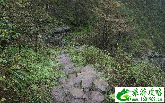 蓥华山自驾游攻略 蓥华山有什么好玩的 蓥华山自驾游攻略 蓥华山有什么好玩的