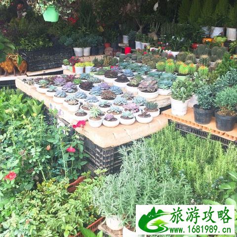 越南有什么旅游景点 好玩吗 越南有什么旅游景点 好玩吗