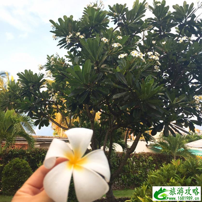 越南有什么旅游景点 好玩吗 越南有什么旅游景点 好玩吗