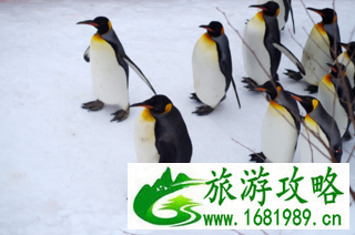 北海道6日游旅游攻略2017 北海道6日游旅游攻略2017