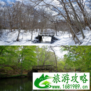 北海道6日游旅游攻略2017 北海道6日游旅游攻略2017