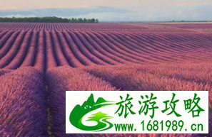 普罗旺斯自驾游最佳路线2017 普罗旺斯自驾游最佳路线2017