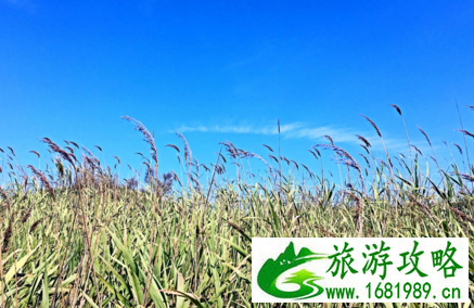 月坨岛好不好 月坨岛旅游怎样 月坨岛有什么好玩的 月坨岛在哪儿