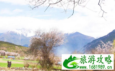 林芝县为什么取名叫巴宜区 从拉萨怎么去林芝 去林芝旅游哪些景点必去 林芝县为什么取名叫巴宜区 从拉萨怎么去林芝 去林芝旅游哪些景点必去