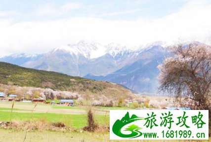 林芝县为什么取名叫巴宜区 从拉萨怎么去林芝 去林芝旅游哪些景点必去 林芝县为什么取名叫巴宜区 从拉萨怎么去林芝 去林芝旅游哪些景点必去