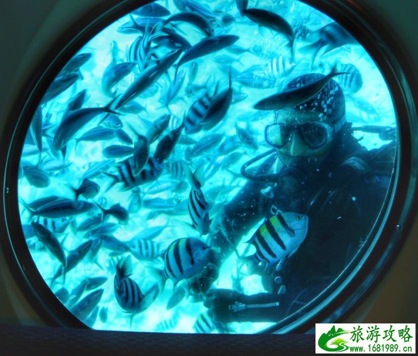 埃及有哪些旅游景点 去埃及旅游多少钱 埃及有哪些旅游景点 去埃及旅游多少钱