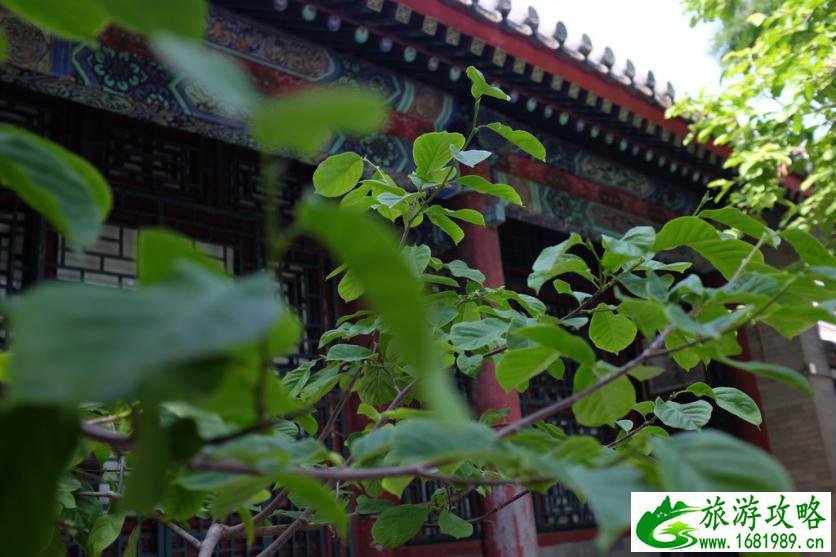 北京有哪些名胜古迹 北京有哪些旅游景点 北京有哪些名胜古迹 北京有哪些旅游景点