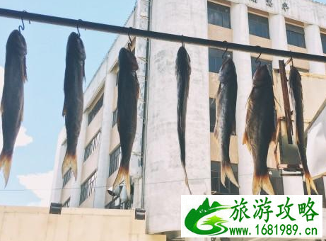 澳门、香港分别什么时候回归的 去澳门需要什么证件 澳门两天旅游攻略 澳门、香港分别什么时候回归的 去澳门需要什么证件 澳门两天旅游攻略