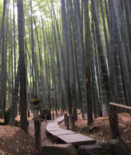 从东京镰仓灌篮高手取景地怎么去 镰仓是现在日本的哪里 从东京镰仓灌篮高手取景地怎么去 镰仓是现在日本的哪里