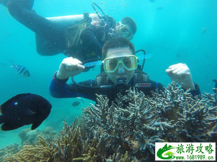 三亚有什么好玩的地方 去三亚旅游要注意些什么