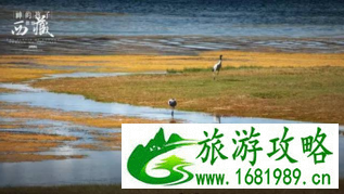 西藏阿里自助游旅游攻略 西藏阿里自助游旅游攻略