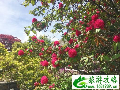 英国有什么旅游景点 英国自由行攻略 英国有什么旅游景点 英国自由行攻略