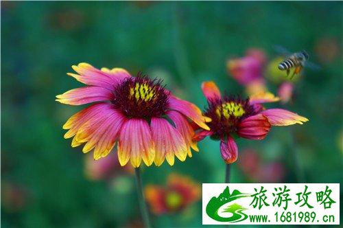 连州有什么景点 连州自自由行攻略 连州有什么景点 连州自自由行攻略