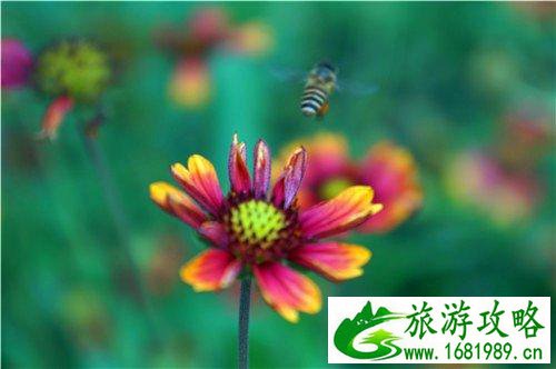 连州有什么景点 连州自自由行攻略 连州有什么景点 连州自自由行攻略