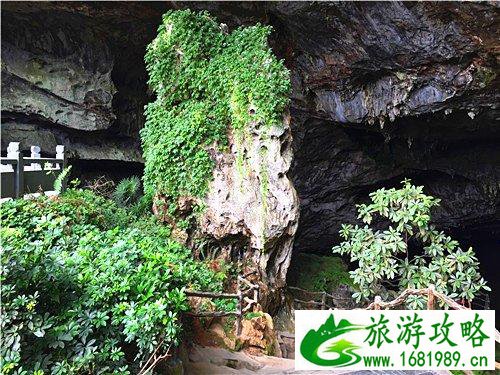连州有什么景点 连州自自由行攻略 连州有什么景点 连州自自由行攻略
