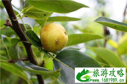 连州有什么景点 连州自自由行攻略 连州有什么景点 连州自自由行攻略